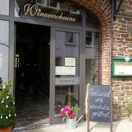 Ferienweingut Stein 住宿加早餐酒店 3*