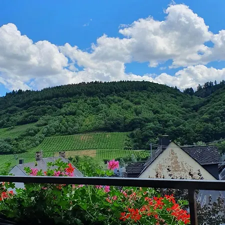 Ferienweingut Stein