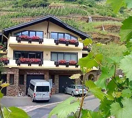 Ferienweingut Stein Bed & Breakfast 3*