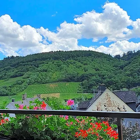 Bed & Breakfast Ferienweingut Stein Valwig