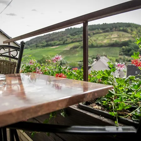 Ferienweingut Stein Bed & Breakfast