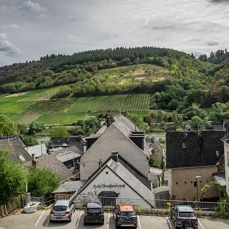 Ferienweingut Stein