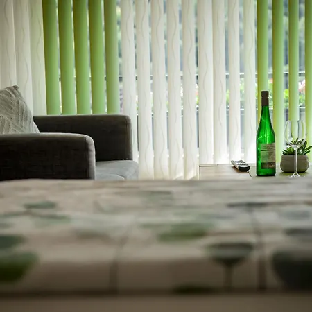 Bed & Breakfast Ferienweingut Stein