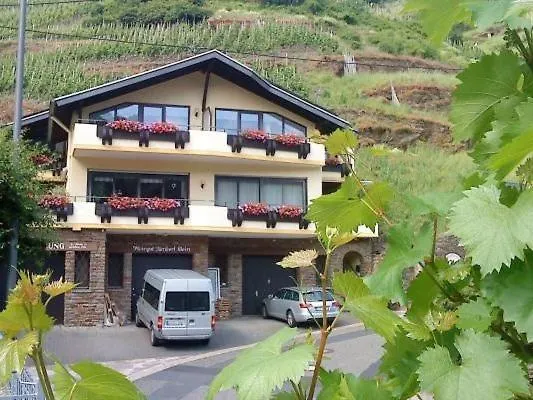 Ferienweingut Stein 住宿加早餐酒店 瓦尔维熙