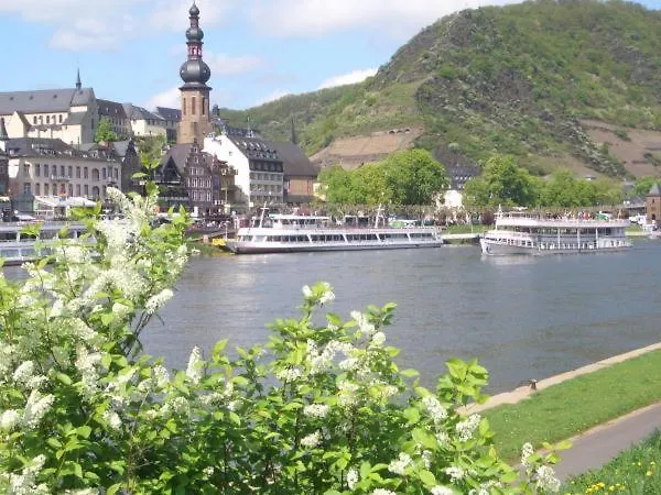 Ferienweingut Stein 3* 瓦尔维熙