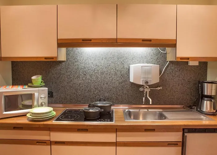 住宿加早餐酒店 Ferienweingut Stein